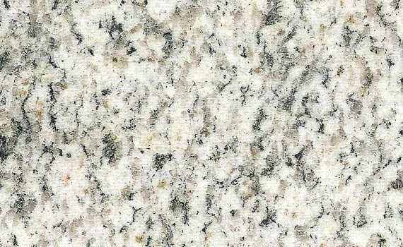 Tianshan White Hemp tianshan white hemp 4938