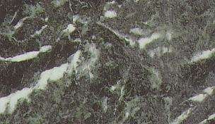 tinnos green 4065