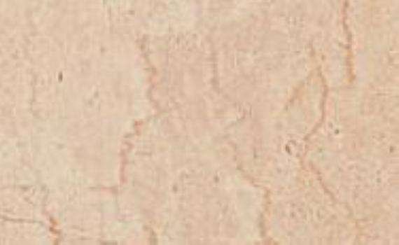 trani america 5370