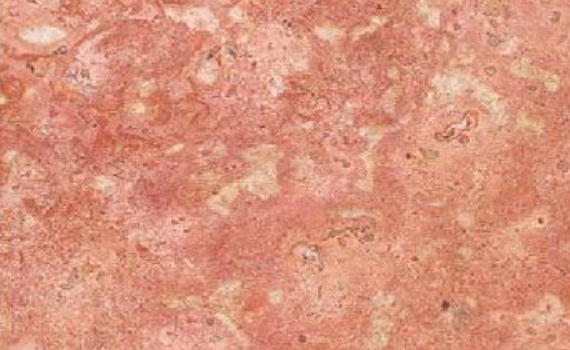 travertino rosa 3255