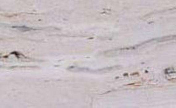 travertino tigre 5432