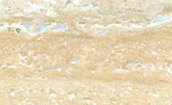 travertino venato 1614