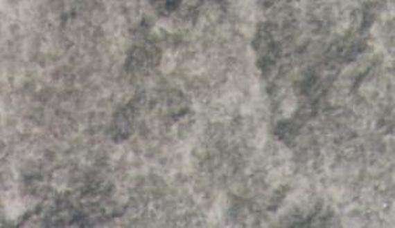trigaches dark 4766