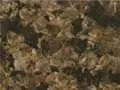 Tropical Brown Granite tropical brown 882