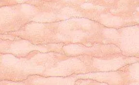 tropical rose viens cut 3704