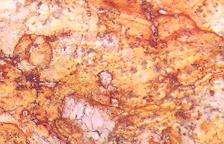 tropical sand 3344