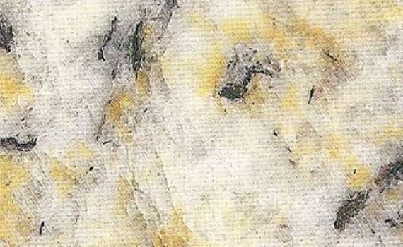 tuscania 5069