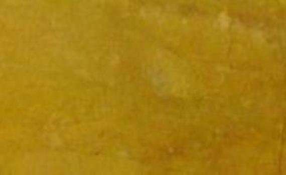 tuscany yellow 7190