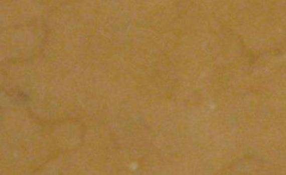 valencia gold 7741