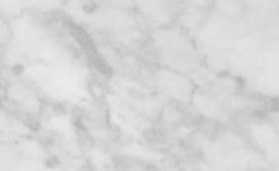 veine brouille 6379