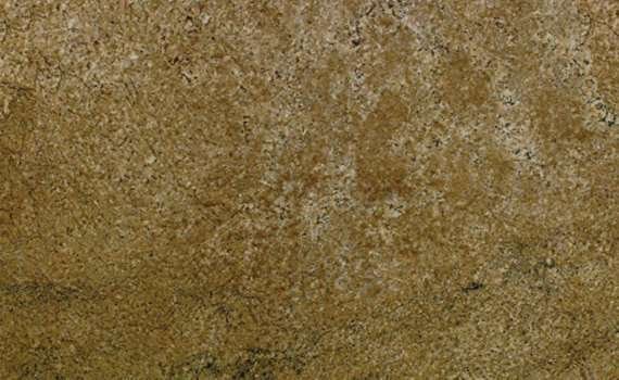 veneratto 264