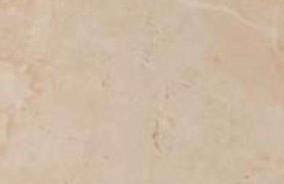 venere 5475