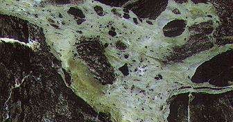 verde antico d grecia 4042
