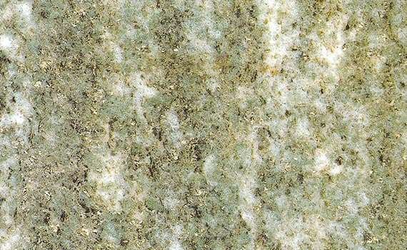 verde argento 985
