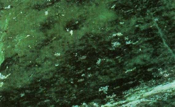 verde giada 1221