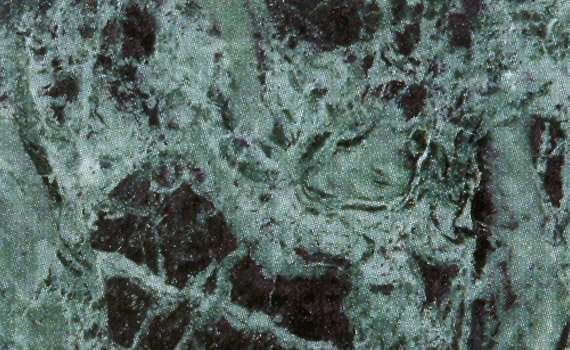 verde patricia 1217