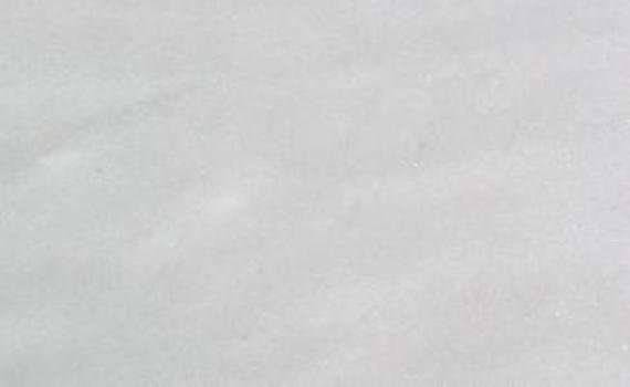 veria white 7533