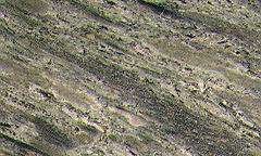 waterfall green vain cut 3490