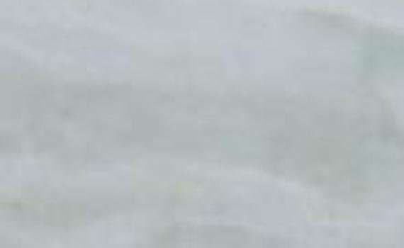 white onicciato 5749