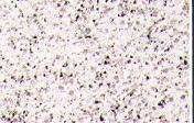 white quartz 3391