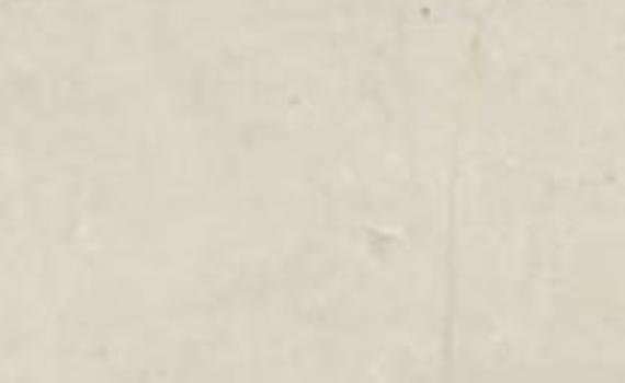 xishi beige 5637