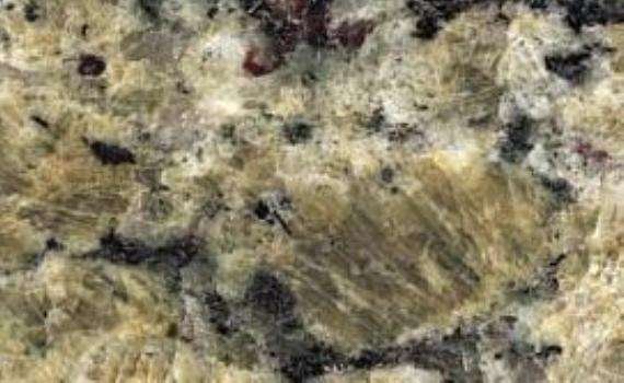 yellow butterfly 7702