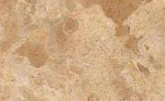 yellow jerusalem 5628