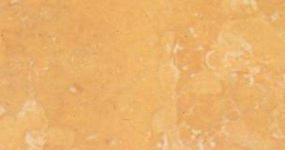 yellow negrais 4769