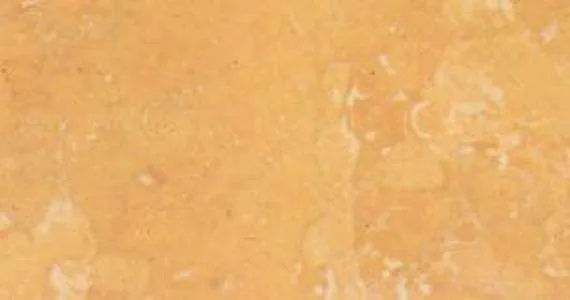 yellow negrais 4769