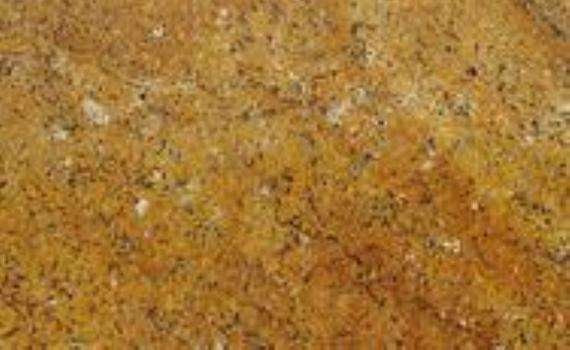 yellow santa cecilia 5806