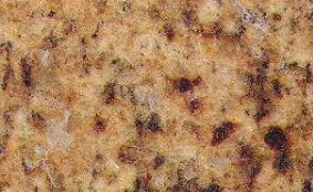 yellow top golden granite