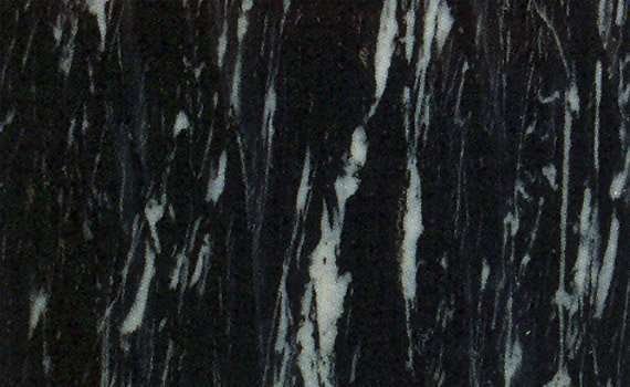 zebra black 2392