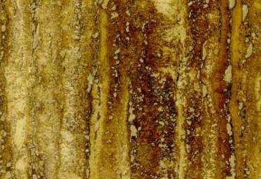 Travertino Amarillo Oro 3