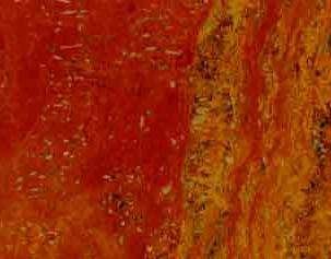 Travertino Rojo Persa 3