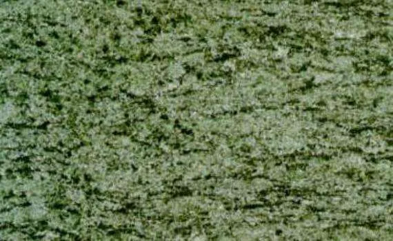 Verde Oliva Floriado Verde Oliva Floriado 3
