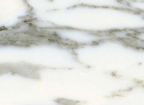 Arabescato Corchia Marble 1
