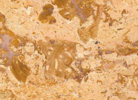 Golden Tuareg 1