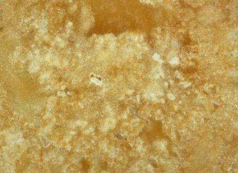 Onice Cappuccino Cross Cut 1