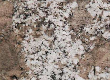 Bianco Artico Bianco Artico Granite 1