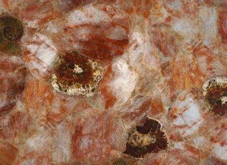 Fossilized Haematoid Quartz Fossilized Haematoid Quartz 1