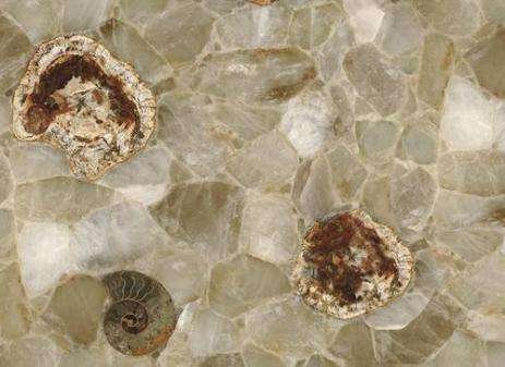 Fossilized Quartz 1