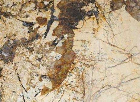 Gran Delicatus Granite 1