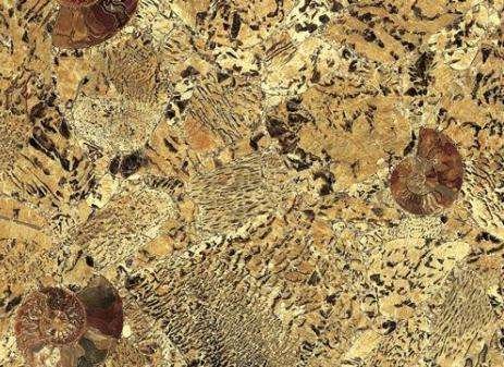 Graphic Feldspar Stone Graphic Feldspar Stone 1