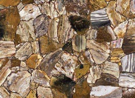 Ocean Jasper Gold Stone 1