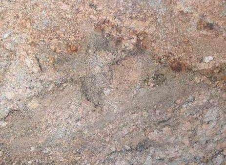 Sharon Sharon Granite 1