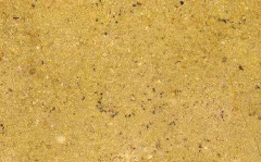 Arish Gold 1as