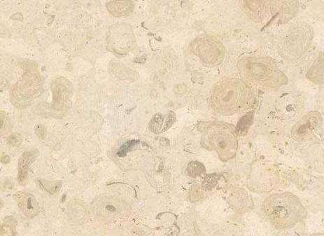 Comblanchien Ramage Limestone 1