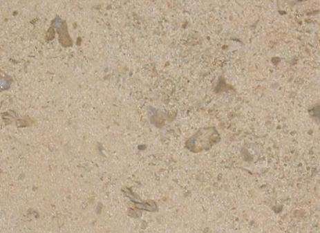 Corton Coquille Corton Coquille Limestone 1