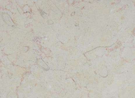 Hebron White Shell 41 Stone 1