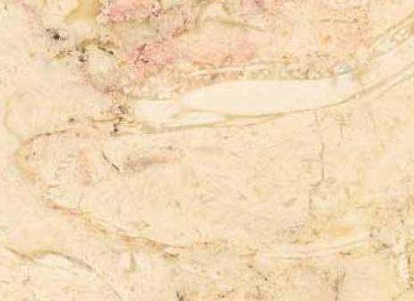 Lioz Pero Pinheiro Limestone 1
